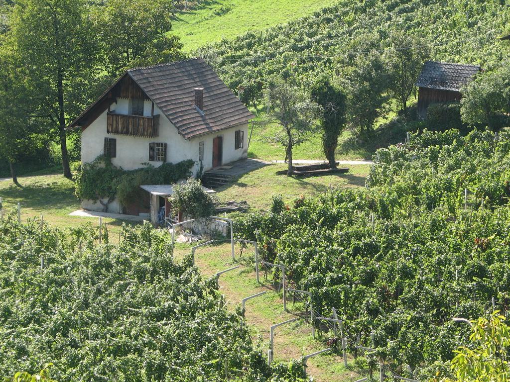 Guesthouse Zorko Gostilna Domen Smarjeske Toplice Ngoại thất bức ảnh