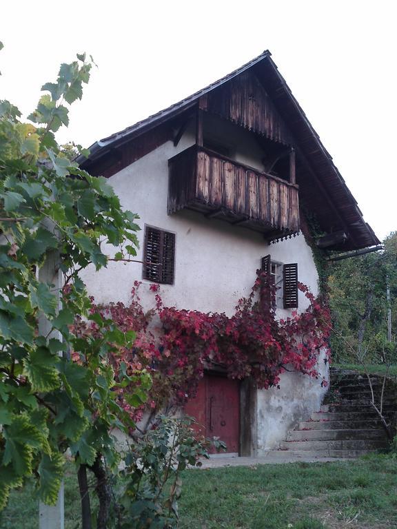 Guesthouse Zorko Gostilna Domen Smarjeske Toplice Ngoại thất bức ảnh