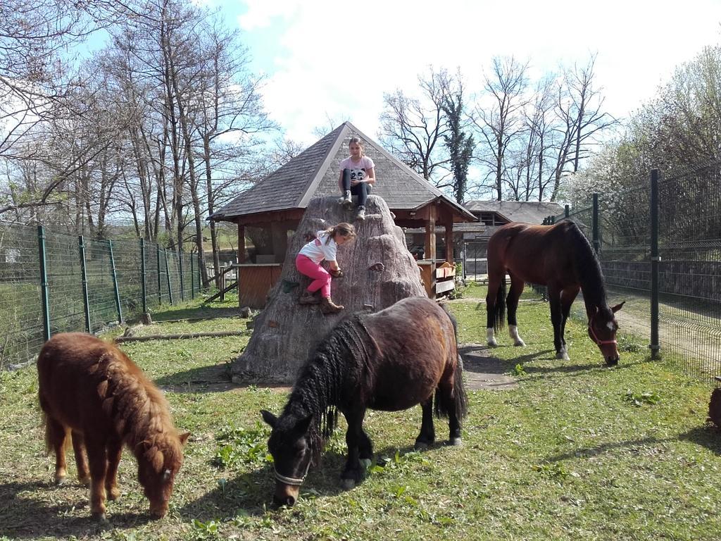 Guesthouse Zorko Gostilna Domen Smarjeske Toplice Ngoại thất bức ảnh